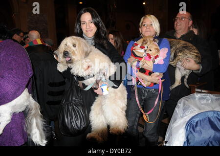 ASPCA Blessing of the Animals at Christ Church United Methodist Featuring: Atmosphere Where: New York City NY USA When: 09 Dec 2012 Stock Photo