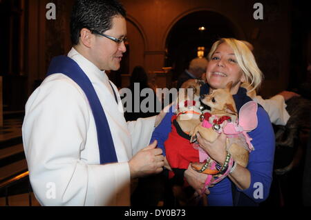 ASPCA Blessing of the Animals at Christ Church United Methodist Featuring: Senior Rabbi Peter Rubinstein Where: New York City NY USA When: 09 Dec 2012 Stock Photo