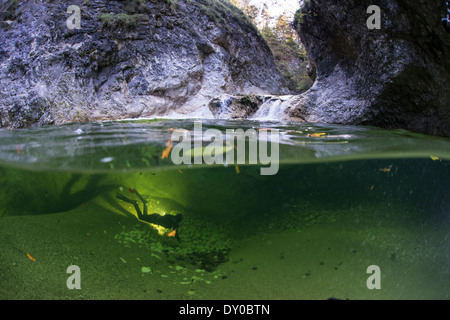 Weißenbach river, Salzkammergut, Austria Stock Photo