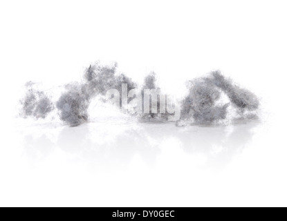 Dust bunnies on white reflecting background. Stock Photo