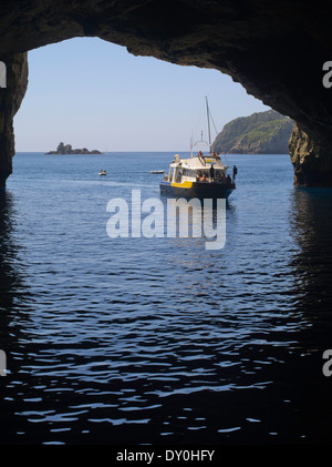 Rikoriko Cave is the largest sea cave in the world. Poor Knights ...