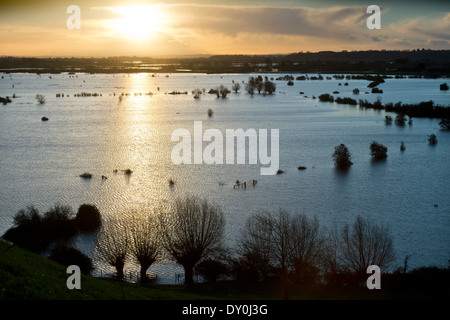 Dawn breaks over the flooded fields of the Somerset Levels near Burrowbridge UK Feb 2014 Stock Photo