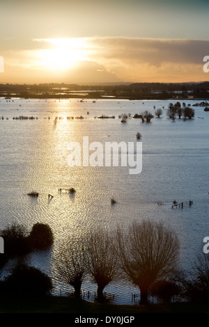 Dawn breaks over the flooded fields of the Somerset Levels near Burrowbridge UK Feb 2014 Stock Photo