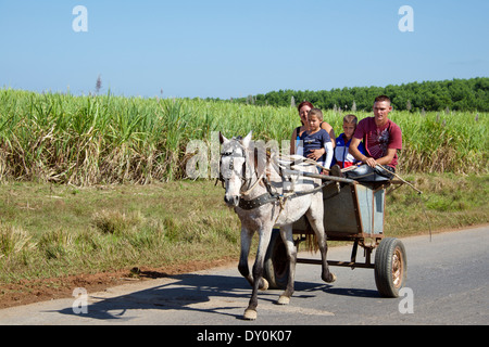 Family in horse drawn cart Vinales Cuba Stock Photo
