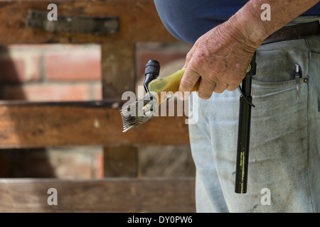 Farmer preparing for sheep shearing in New Zealand farmyard holding a clipper Stock Photo