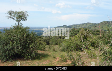 panoramic scenery around the Great Rift Valley in Uganda (Africa) Stock Photo