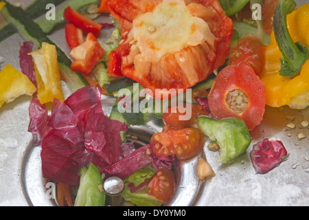A metal sink filled with raw, organic vegetable peelings of tomatoes, green peppers, red onion, yellow peppers and cucumbers Stock Photo