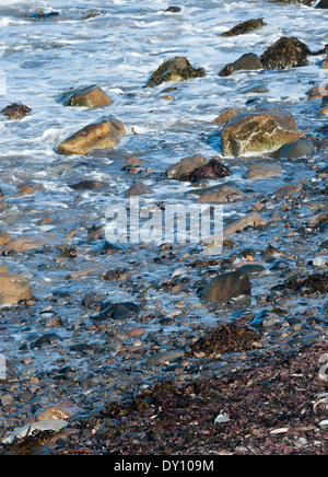 Waves Trickle Over Rocks Bathing in Sunshine on the North East Coast near Beadnell Northumberland England United Kingdom UK Stock Photo