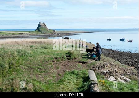 Lindisfarne Castle [Holy Island] and Harbour Area with Moored Boats and Reflections in Sea Northumberland England UK Stock Photo