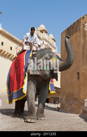 Amber, Rajasthan, India, Elephant rides at Amber Fort-Palace Stock Photo