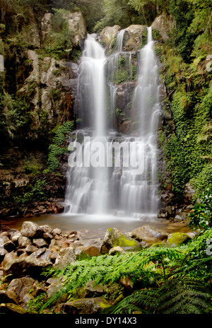 Minnamurra Falls in NSW, Australia Stock Photo