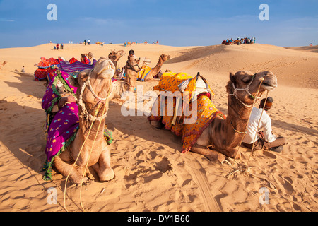 Local people and their camel rest on Thar desert in evening time. Stock Photo