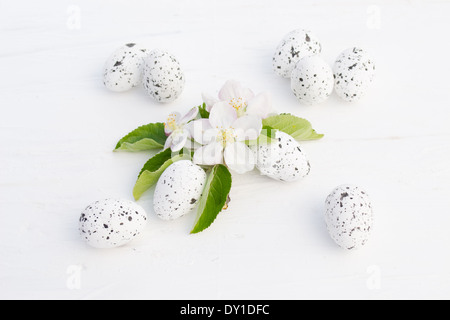 Quail eggs are small and colourful. They can be eaten raw or  cooked and are considered a delicacy in many countries. Stock Photo