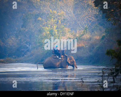 Elephant safari in Bardia National Park, Nepal Stock Photo
