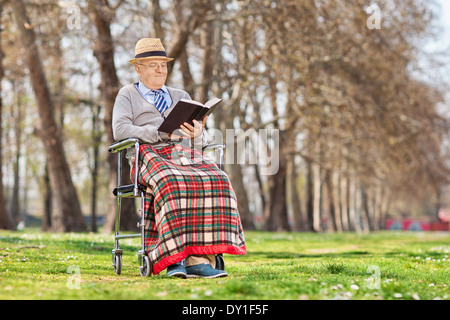 Elderly gentleman reading a book outdoors Stock Photo