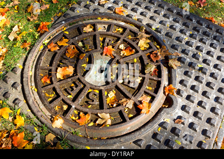 Manhole cover (sewer) with autumn leaves in Boston, Massachusetts, USA Stock Photo