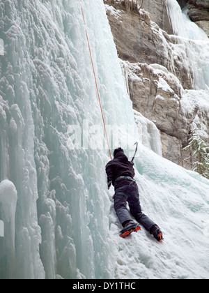 An ice climber scales 'The Queen', a famous ice climb in Maligne Canyon, Jasper National Park, Alberta, Canada. Stock Photo