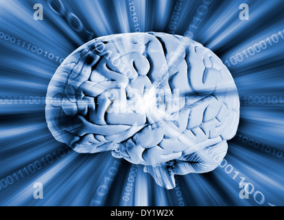 Human brain with binary code Stock Photo