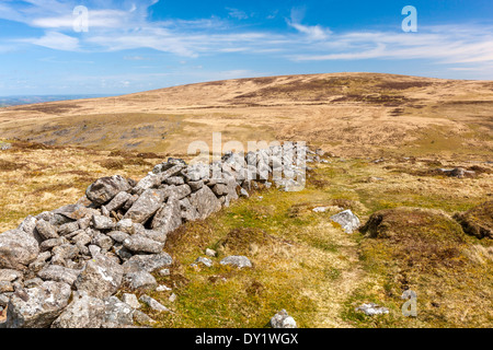 Irishman's Wall, Dartmoor National Park, Belstone, West Devon, England, UK, Europe. Stock Photo