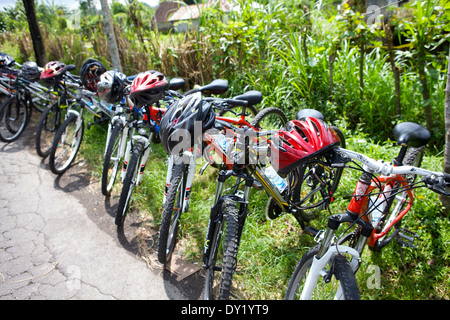 A line of bicycles with bike helmets resting on the handle bars against a natural green background Stock Photo