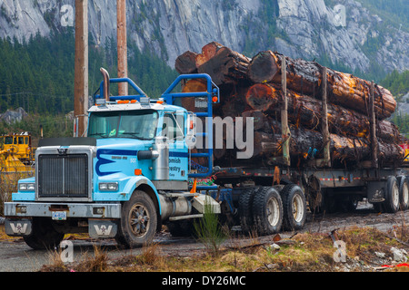 Blue logging truck loaded with Western Red Cedar logs in Squamish, Canada Stock Photo