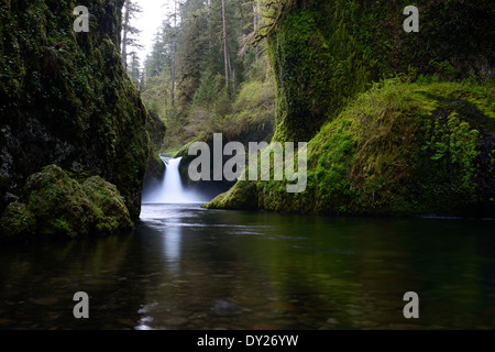 Punchbowl Falls on Eagle Creek along the Columbia River Gorge. Stock Photo