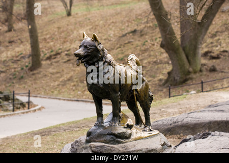 Sled dog with a store statue in central park