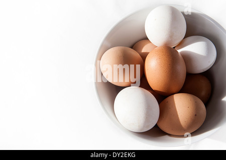 Aerial view of brown and white eggs i a bowl on clean white background Stock Photo