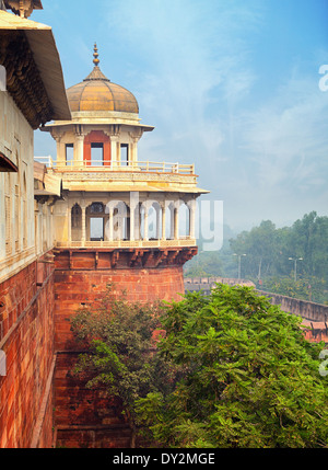 The Asian style tower, Red ford, Agra, India Stock Photo