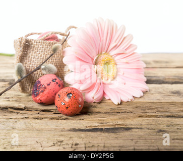 Easter eggs in the nest with gerbera daisy flowers Stock Photo
