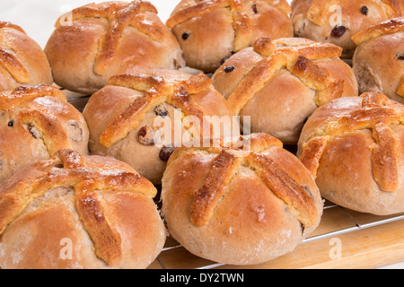 traditional hot cross buns with marzipan crosses on wire cooling tray close up ( 21 of a series of 24) Stock Photo