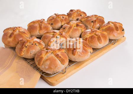 12 traditional hot cross buns with marzipan crosses on wire cooling tray (22 of a series of 24) Stock Photo