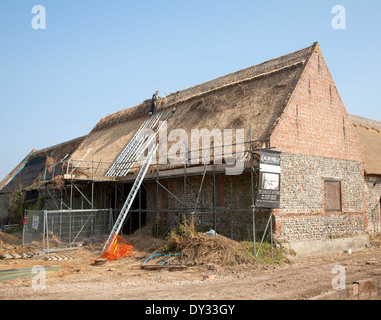 Thatcher working on new thatch barn roof at Windspurs farm, Roughton, Norfolk, England Stock Photo