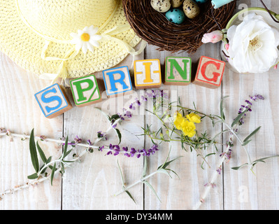 Childrens blocks spelling out Spring on rustic wooden boards The word is surrounded by flowers, a bonnet and a birds nest with e Stock Photo