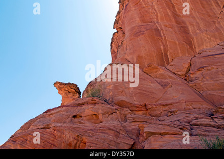 A lizard like head of rock on the side of a cliff in Arizona Stock Photo