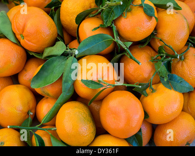 Bunch of fresh clementines with green leaves Stock Photo