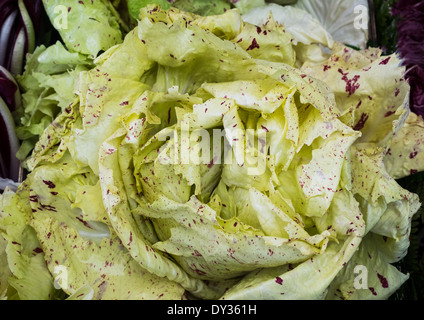 Fresh salad leaves with purple dots ready to eat Stock Photo
