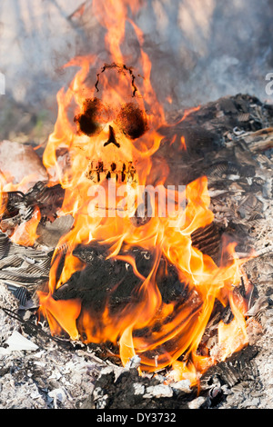 Human skull appears in fire flames represents death by the fire accident Stock Photo