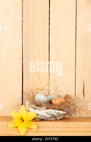 Easter basket from a shell with Easter eggs Stock Photo