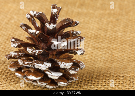 Decorative pine cones-on linen fabric Stock Photo