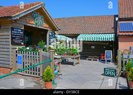 Garden plants for sale outside entrance to Farm Shop Stock Photo