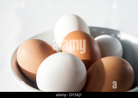Bowl of six fresh eggs, three white, three brown Stock Photo