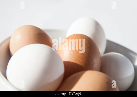 Bowl of six fresh eggs, three white, three brown Stock Photo