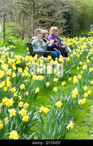 Thriplow, Cambridgeshire, UK. 5th April 2014. Ladies rest on a bench amongst the flowers as thousands of people enjoy spring sunshine at the Thriplow Daffodil Weekend in Cambridgeshire UK 5th April 2014. Each year between 7000-10000 people attend the village event to see displays of daffodils, visiting residents open gardens, craft barns, food stalls, Morris dancing, country craft demonstrations, heavy horses and fun fair rides. The roads are closed to traffic allowing visitors to wander the pretty village lanes in a celebration of spring. Credit:  Julian Eales/Alamy Live News Stock Photo
