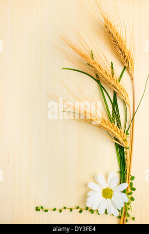 three ears of wheat with chamomile and grass on wood texture Stock Photo