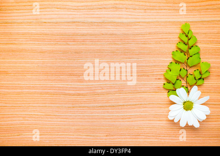 one green branch and chamomile on wooden background Stock Photo