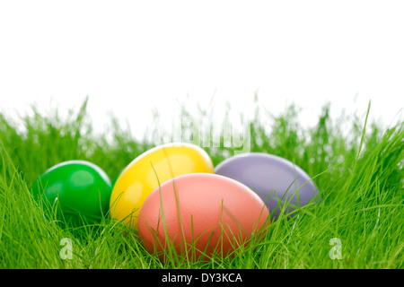 Decorated easter eggs in spring grass Stock Photo