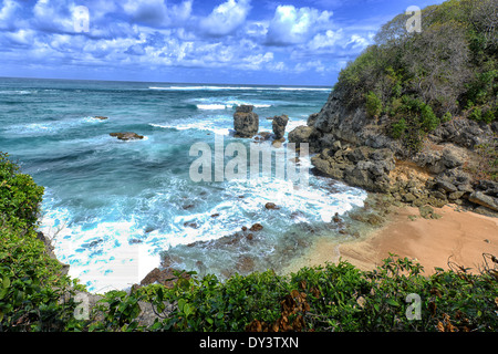 Exotic Beach on North Coast, Barbados Stock Photo