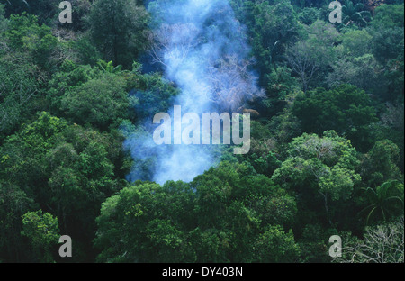 Forest fires in primary rainforest, caused by the dry season and settlers slash and burn cultivation. Amazon, Brazil Stock Photo