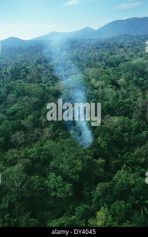 Forest fires in primary rainforest, caused by the dry season and settlers slash and burn cultivation. Amazon, Brazil Stock Photo